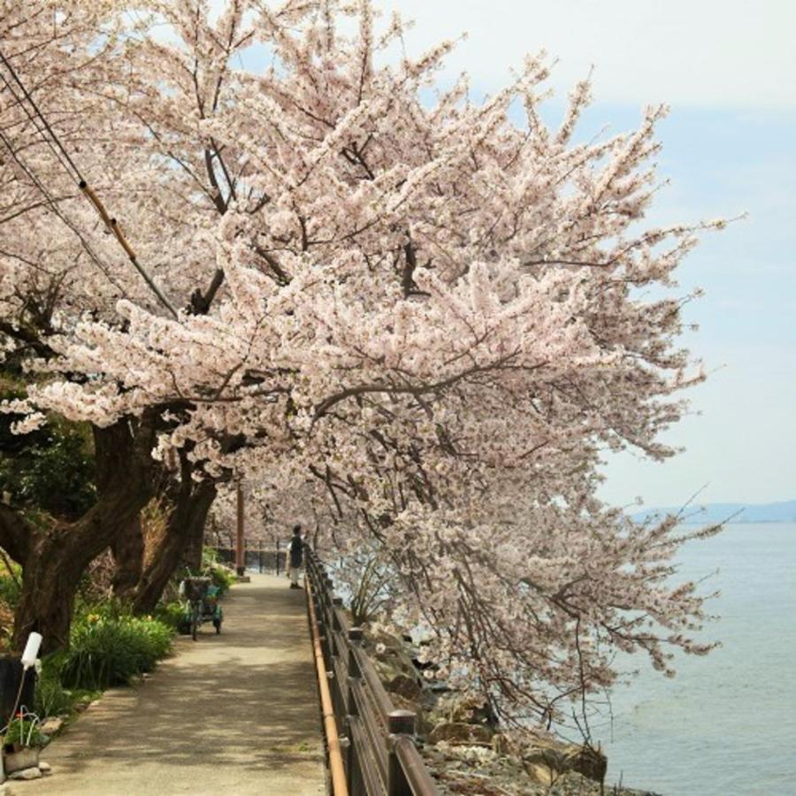 Kyukamura Ohmi-Hachiman Omihachiman Exterior foto